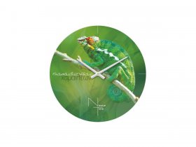 Часы настенные Nicole Time NT503 в Югорёноке - yugoryonok.mebel-nsk.ru | фото
